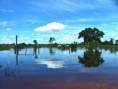 /album/galeria-de-fotos/bxk11615-paisagem-pantanal1800-jpg/