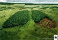 /album/galeria-de-fotos/amazonia-pulmao-do-mundo-jpg/