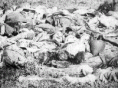 /album/guerra-do-paraguai/cadaveresparaguaios-gif/